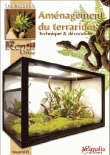 Aménagement du terrarium