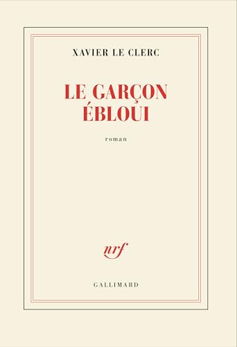 Le Garçon ébloui