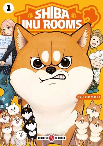 Shiba inu rooms T1